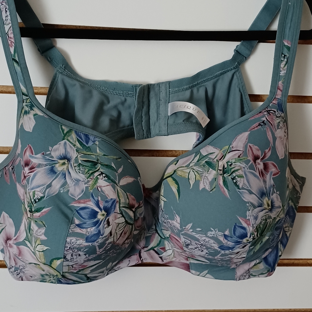 Lane Bryant Plus size Bra